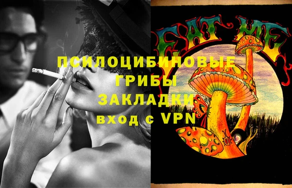 соль ск Надым